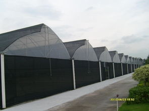 一呼百應(yīng)公司頻道